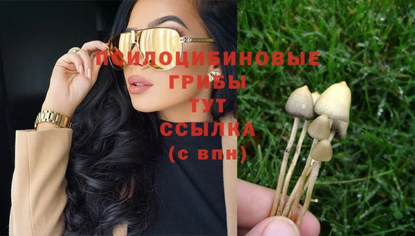 а пвп мука Михайлов