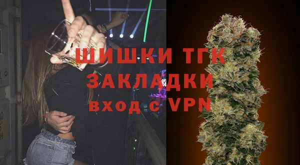 ПСИЛОЦИБИНОВЫЕ ГРИБЫ Богданович