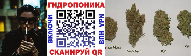 Конопля White Widow хочу наркоту Полтавская